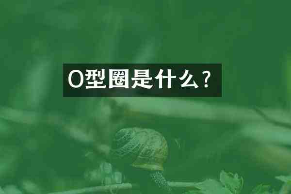 O型圈是什么?