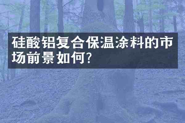 硅酸铝复合保温涂料的市场前景如何?