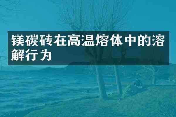 镁碳砖在高温熔体中的溶解行为