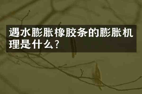 遇水膨胀橡胶条的膨胀机理是什么?
