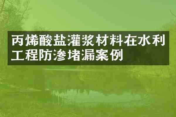 丙烯酸盐灌浆材料在水利工程防渗堵漏案例