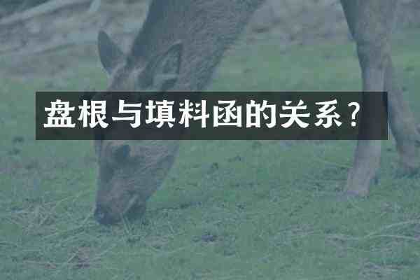盘根与填料函的关系?