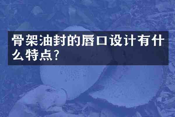 骨架油封的唇口设计有什么特点?