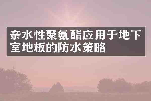 亲水性聚氨酯应用于地下室地板的防水策略