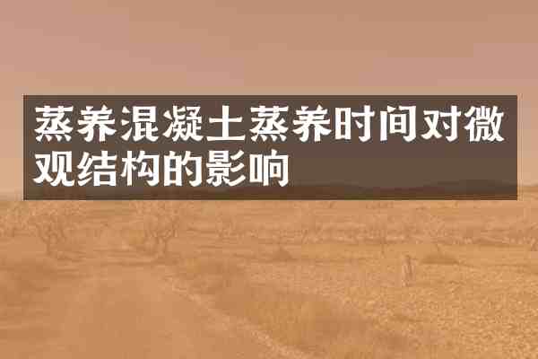 蒸养混凝土蒸养时间对微观结构的影响