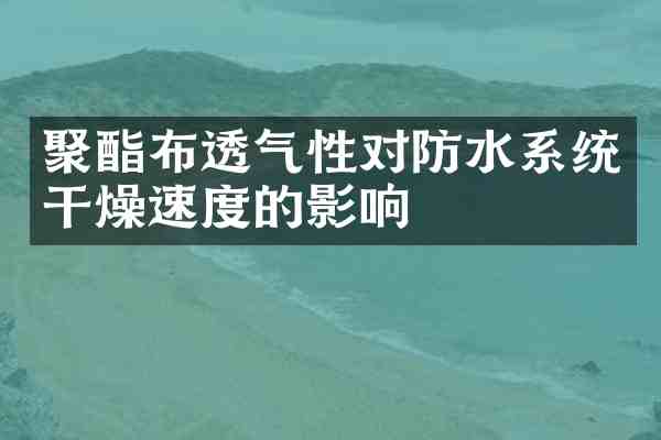 聚酯布透气性对防水系统干燥速度的影响