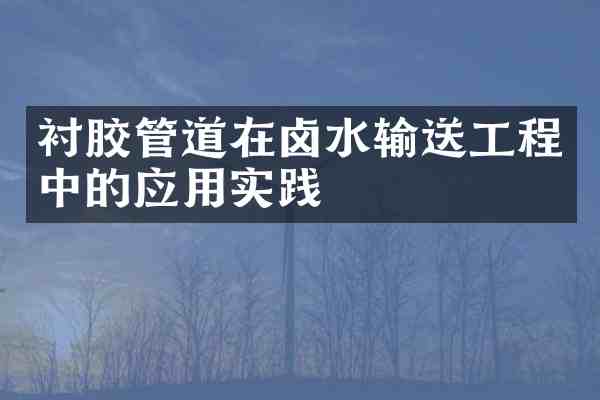 衬胶管道在卤水输送工程中的应用实践