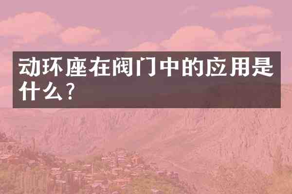动环座在阀门中的应用是什么?