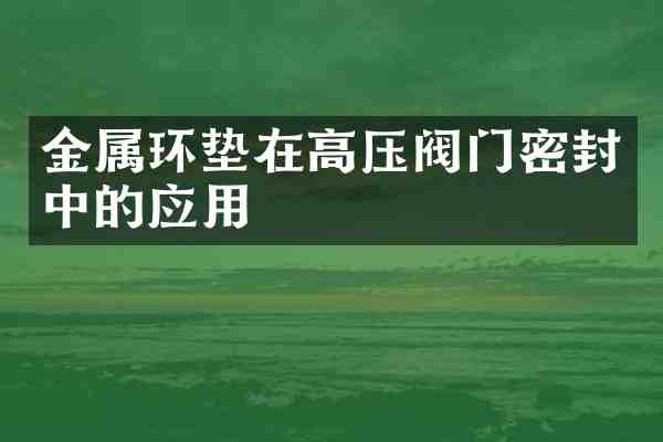 金属环垫在高压阀门密封中的应用