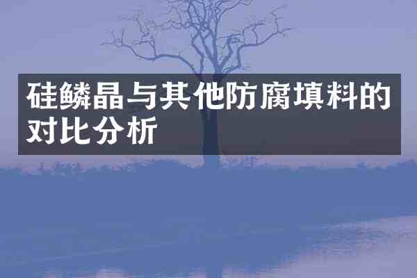 硅鳞晶与其他防腐填料的对比分析