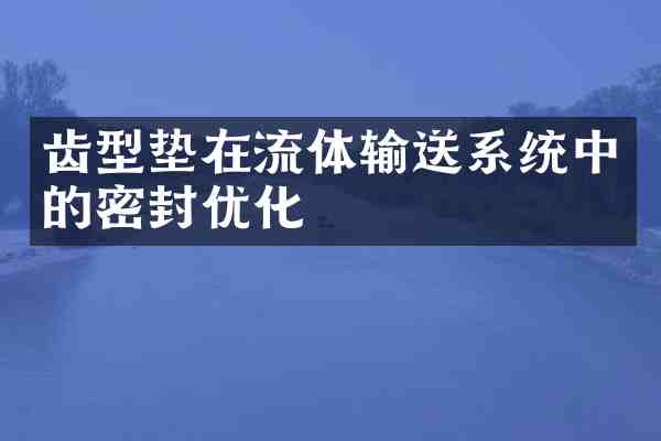 齿型垫在流体输送系统中的密封优化