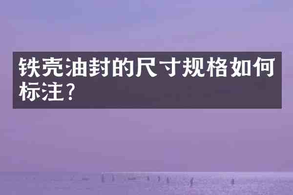 铁壳油封的尺寸规格如何标注?