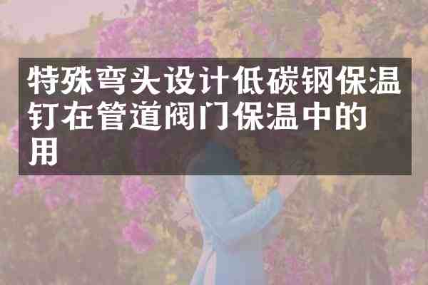 特殊弯头设计低碳钢保温钉在管道阀门保温中的应用