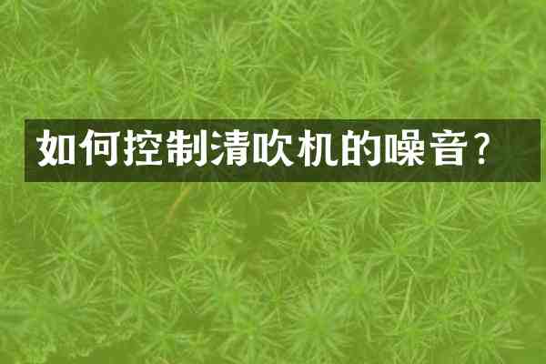 如何控制清吹机的噪音？