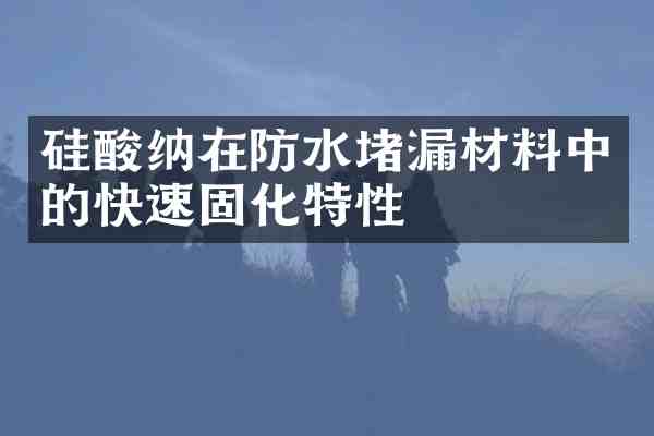 硅酸纳在防水堵漏材料中的快速固化特性