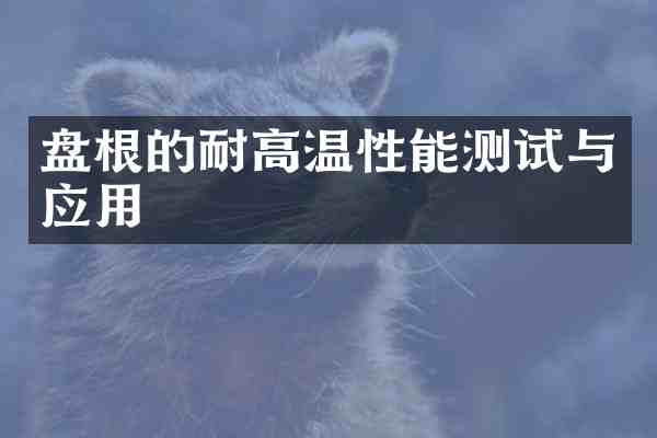 盘根的耐高温性能测试与应用