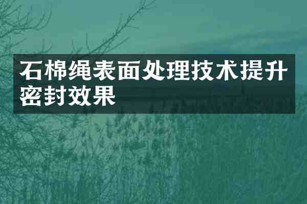 石棉绳表面处理技术提升密封效果