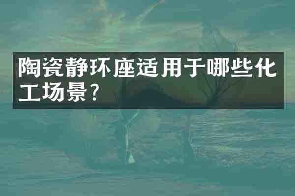陶瓷静环座适用于哪些化工场景?
