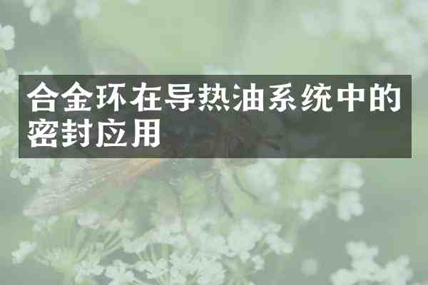 合金环在导热油系统中的密封应用