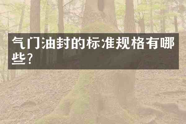气门油封的标准规格有哪些?