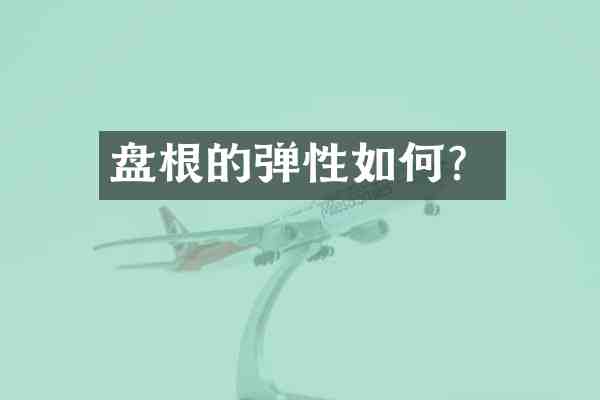 盘根的弹性如何?
