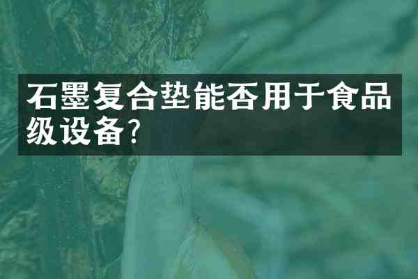 石墨复合垫能否用于食品级设备?