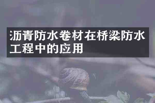 沥青防水卷材在桥梁防水工程中的应用