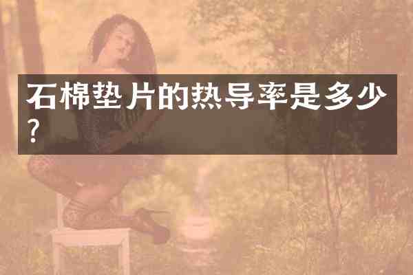 石棉垫片的热导率是多少?