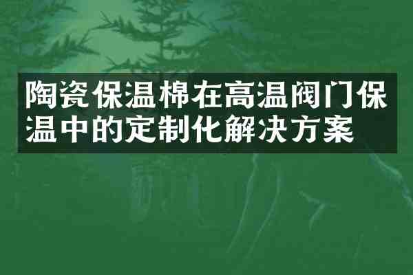 陶瓷保温棉在高温阀门保温中的定制化解决方案