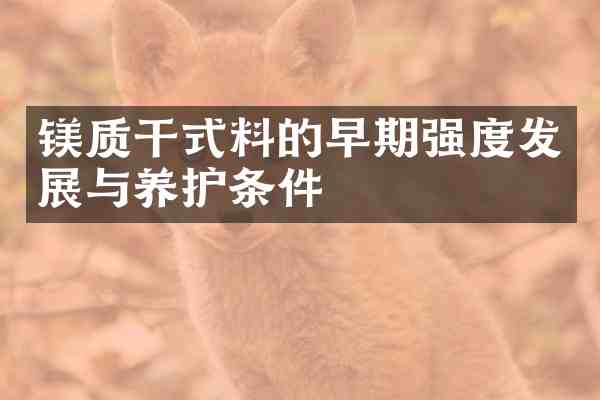 镁质干式料的早期强度发展与养护条件