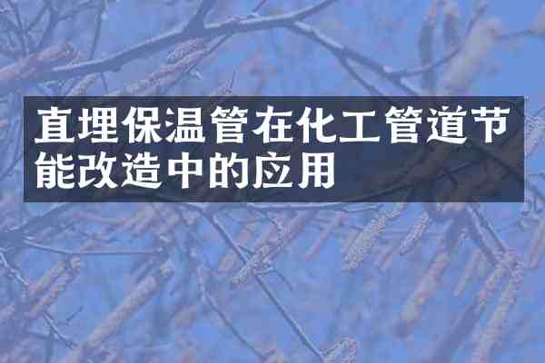直埋保温管在化工管道节能改造中的应用