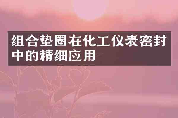 组合垫圈在化工仪表密封中的精细应用