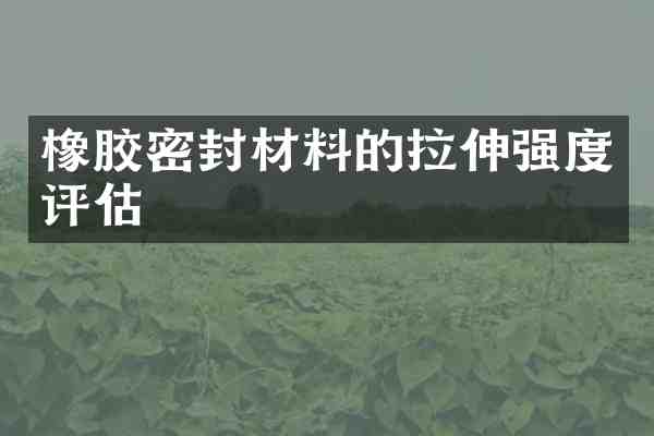 橡胶密封材料的拉伸强度评估