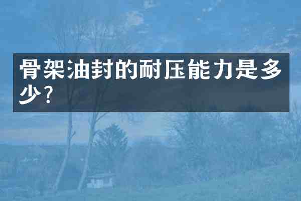 骨架油封的耐压能力是多少?