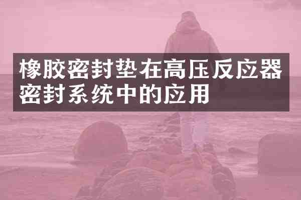 橡胶密封垫在高压反应器密封系统中的应用