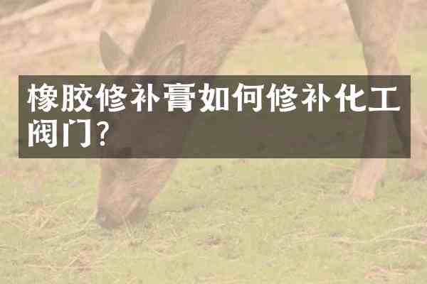 橡胶修补膏如何修补化工阀门?
