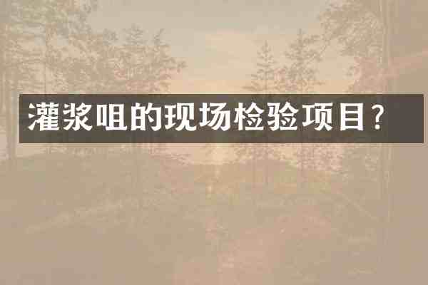 灌浆咀的现场检验项目？