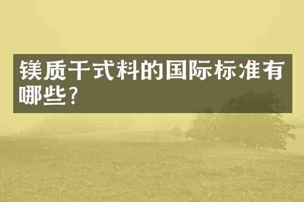 镁质干式料的国际标准有哪些?