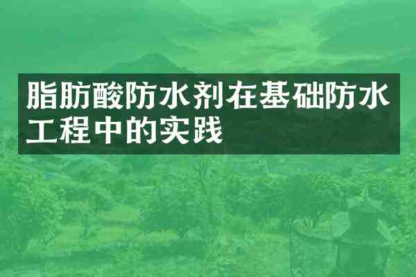 脂肪酸防水剂在基础防水工程中的实践