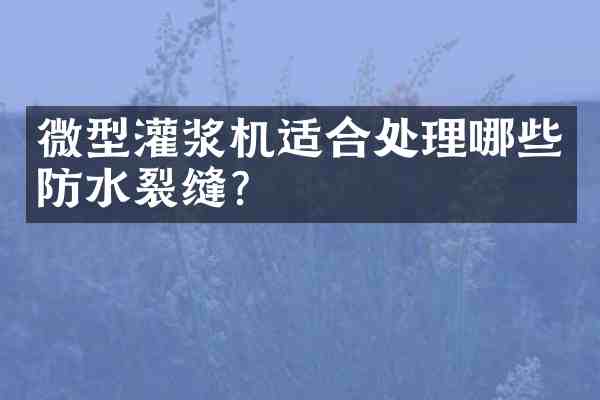 微型灌浆机适合处理哪些防水裂缝?