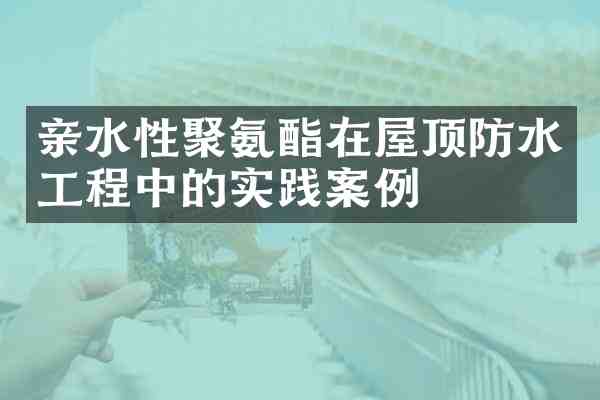 亲水性聚氨酯在屋顶防水工程中的实践案例