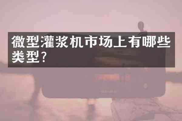 微型灌浆机市场上有哪些类型?