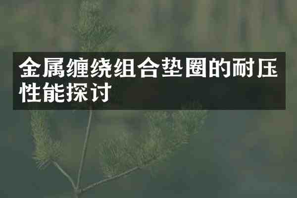 金属缠绕组合垫圈的耐压性能探讨