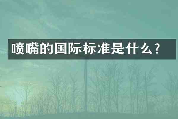 喷嘴的国际标准是什么?