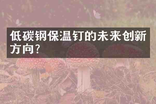低碳钢保温钉的未来创新方向？