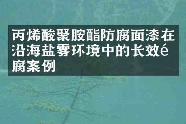 丙烯酸聚胺酯防腐面漆在沿海盐雾环境中的长效防腐案例