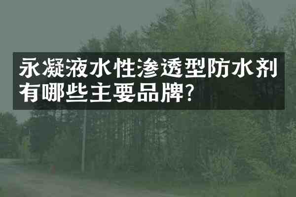永凝液水性渗透型防水剂有哪些主要品牌?