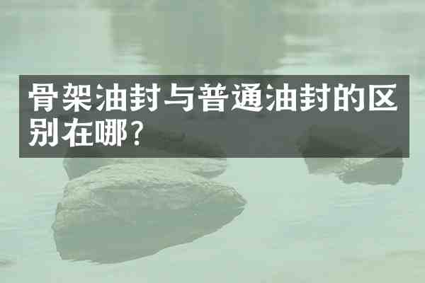 骨架油封与普通油封的区别在哪?