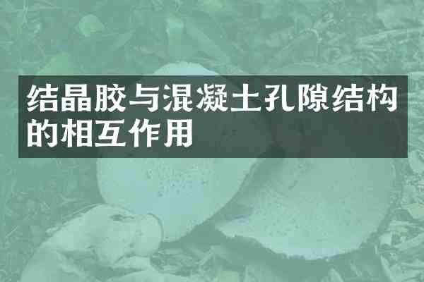 结晶胶与混凝土孔隙结构的相互作用