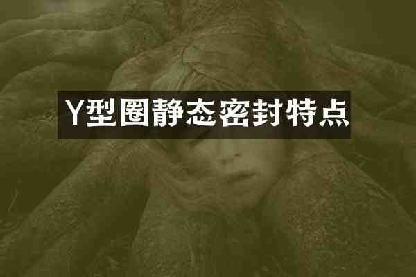 Y型圈静态密封特点